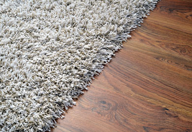 Carpet vs Wood
