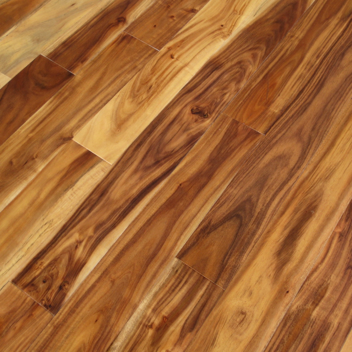 Acacia Natural Plank Hardwood Flooring Unique Wood Floors
