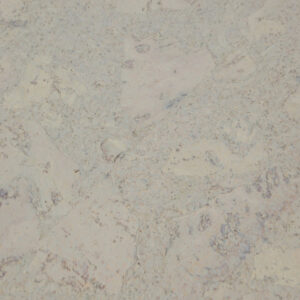 Amsterdam Driftwood Hardwood Gray Floor Sample