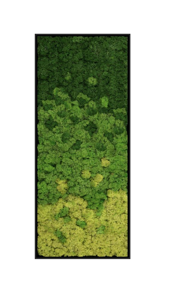 Riva Moss Framed Essentials Tall Rectangle