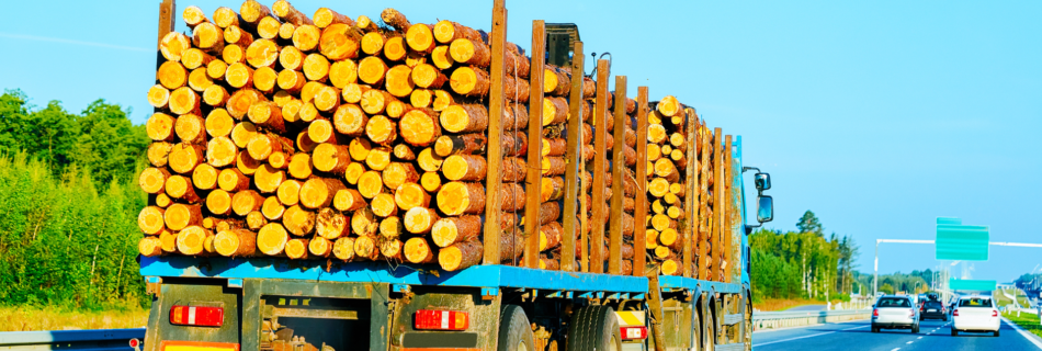 Tariffs on Canadian Lumber
