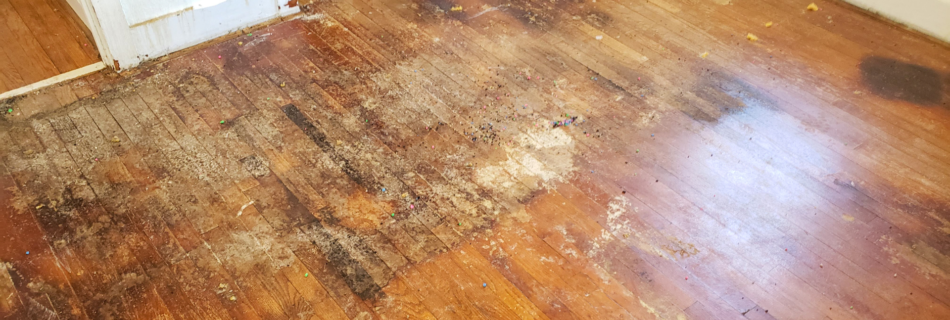 replace or refinish hardwood floors