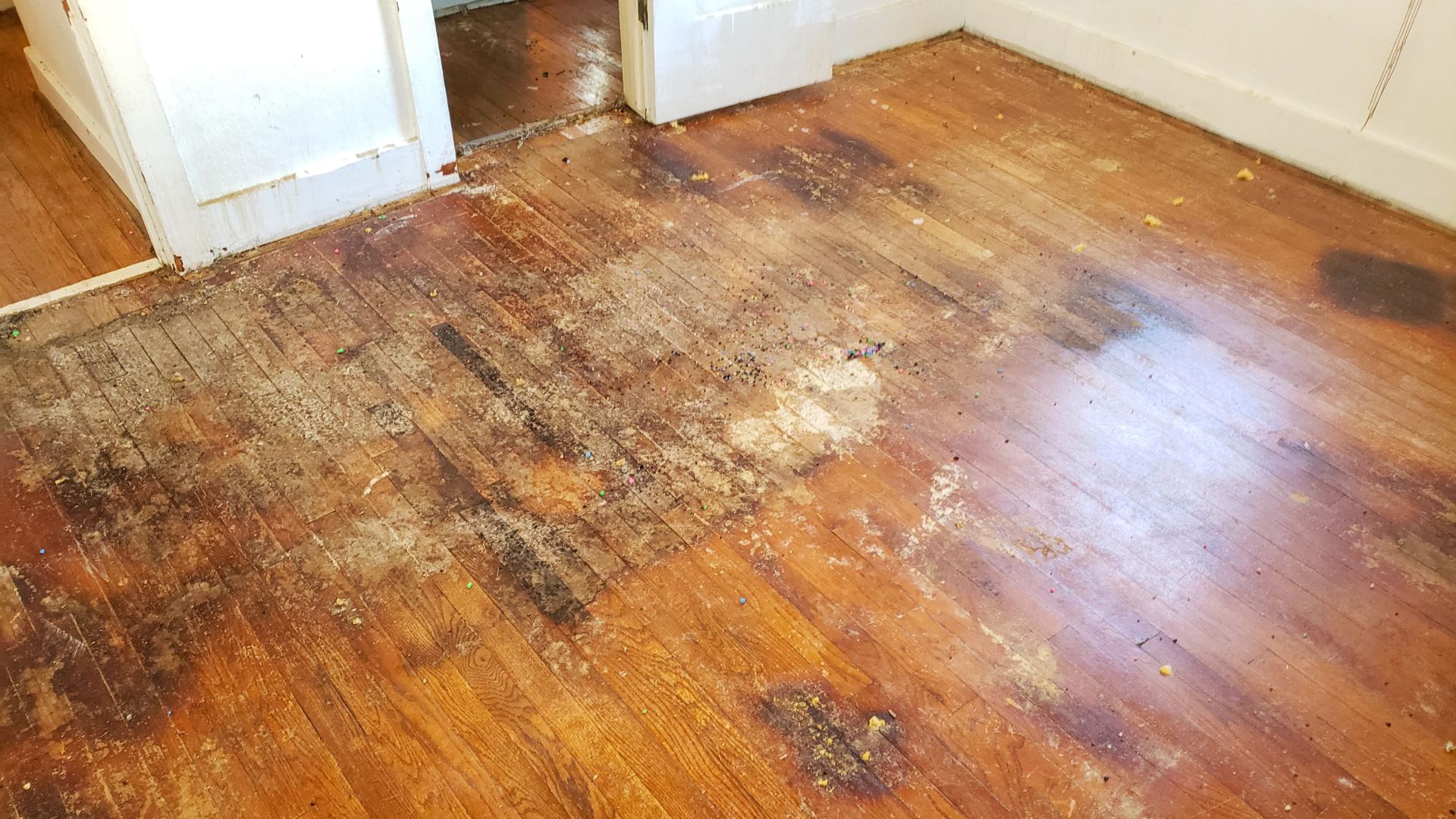 replace or refinish hardwood floors
